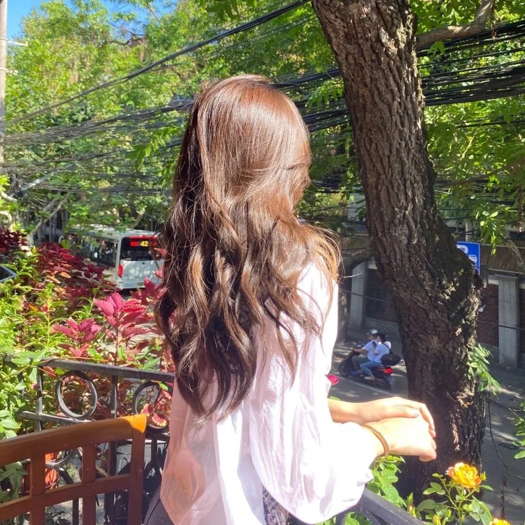 樱花革命:花开时的少女们