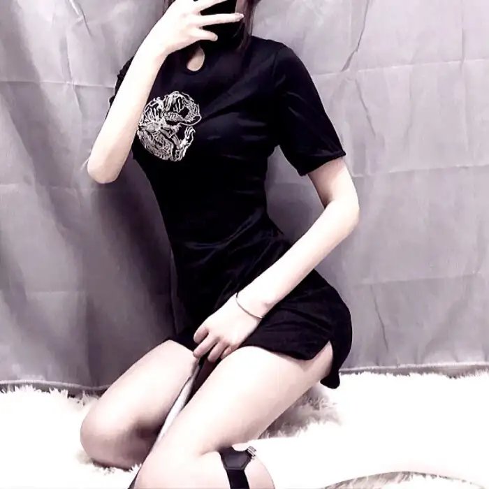 携带狗的猫
